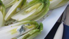 Endives aux roquefort
