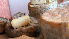 Crème brûlée aux marrons et au Saint-Nectaire