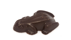 Les chocogrenouilles comme dans Harry Potter
