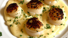 Saint-Jacques crème au Champagne