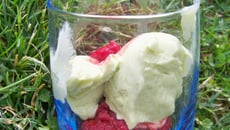 Glace à l'avocat et aux framboises