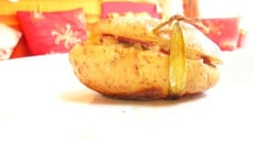 Pommes de terre farcies aux dés de poulet