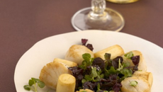 Noix de St-Jacques & Palmistes et sa mousse de Muscat