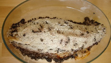 Poisson en Croods de sel