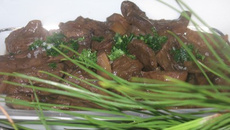 Champignons des collines