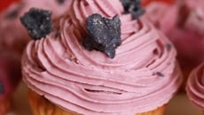 Muffins à la myrtille et violette