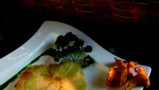 Galettes de Dolwen® au homard