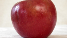 Salade de pommes facile