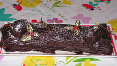 Bûche au chocolat dernière minute et top