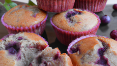 Muffins Violettes-Myrtilles