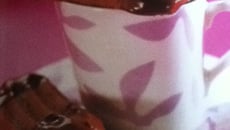 Biscuits viennois au chocolat