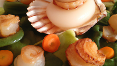 Noix de saint-jacques aux petits légumes