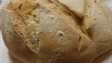 Pain italien gourmand