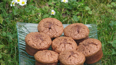 Mini-muffins au chocolat faciles