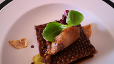 Millefeuille de lapin en camaïeu de bruns