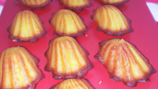 Petits gâteaux au miel "façon madeleines"
