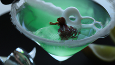 Absinthe Cocktail