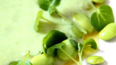 Velouté aux édamames, lait de coco et citronnelle