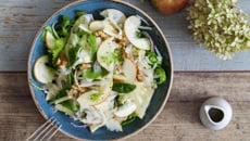 Salade de fenouil, pomme, roquette, pousses d'épinards et noix