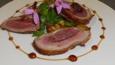 Magret de canard 5 parfums au liseron d'eau