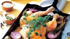 Poulet normand et d'ailleurs