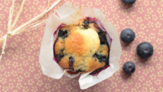 Muffins aux myrtilles comme à New York