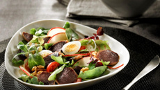 Salade de gésiers de canard confits lafitte et pomme fraîche