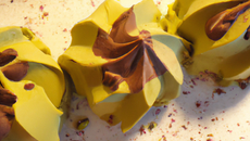 Tri-Marbré Pistache, Chocolat, Vanille