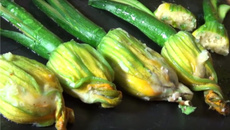 Fleurs de courgettes farcies