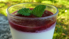 Panna Cotta aux Prunes Rouges