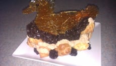 Nid et délice de canard