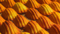 Madeleines dans les règles de l'art