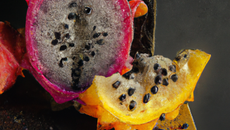 Délice de fruits exotiques