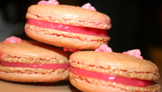 Macarons aux pralines roses
