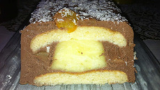 Bûche fraîche, chocolat, citron, poire