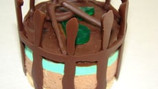 Bavarois chocolat et menthe