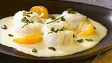 Faisselle de Saint Jacques à la moutarde Clémentine Pistache