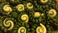 Spirale de macaroni farci aux épinards