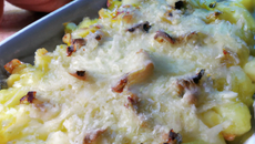 Gratin de pommes et navets et sa poudre d'or