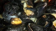 Moules à la crème et curry