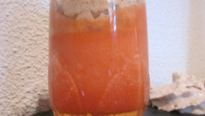 Panna cotta aux Haribos Tagadas et chantilly aux Carambars