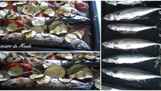 Maquereaux à la provençale