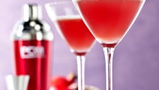 Cocktail POMTINI