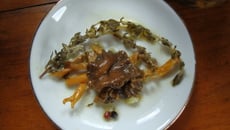 Chanterelles au vinaigre et 5 baies