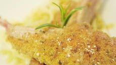 Cotelines d'agneau et sa compotée de fenouil