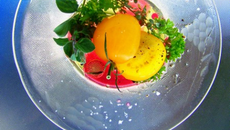 J'ai descendu dans mon jardin