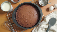 Gâteau au yaourt et au cacao en poudre
