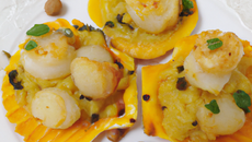 Noix de saint jacques au safran