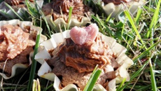 Cupcakes fondants au chocolat