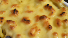 Gratin de pâtes à la béchamel